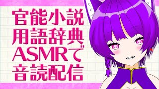 【官能小説用語表現辞典】これは文学です【Vtuber】