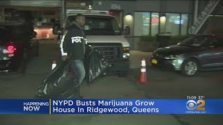 NYPD Busts Queens Marijuana Grow House