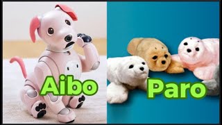 Aibo vs Paro robots, who is the best?