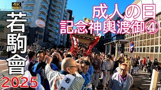 【若駒會】2025年成人の日 記念神輿渡御！担ぎ手の熱い神輿振りにど迫力！（荒川区）