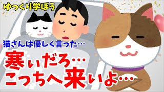 猫さんが飼い主の布団で寝る理由