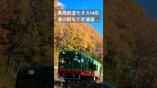 4Kshorts 真岡鉄道 モオカ14型ディーゼルカー　紅葉の道の駅もてぎ　[Moka railway] Diesel-car class Moka-14 in Michinoeki Motegi