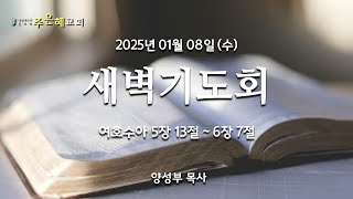 새벽기도회ㅣ여호수아 5장 13절 ~ 6장 7절ㅣ주은혜교회 새벽기도회 양성부목사ㅣ20250108