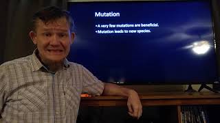 Chapter 10 part 5, Mutation