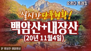 백암산+내장산 종주코스(20년11월4일)│본 영상전 샘플영상│백암산에서 내장산까지!!│(백양사,내장사 단풍현황)