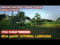 TANAM DURIAN DI SAMPING KEBUN PAK AGUS WIDODO. DAPAT TUTORIAL LANGSUNG