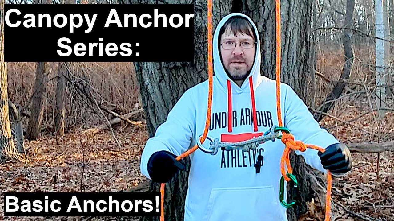 Canopy Anchors Tree Climbing At Louise Mcmakin Blog