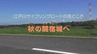 江戸川サイクリングロードの見どころ「秋の関宿城へ」