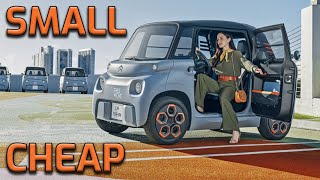This Tiny EV is a HUGE SUCCESS