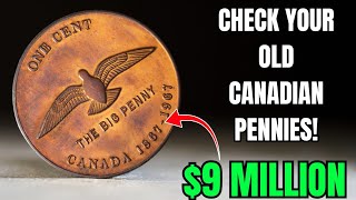 You Won’t Believe This 1867–1967 Canada Cent… Dealers Are Fighting for It!”