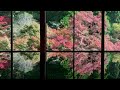 【佐賀県】環境芸術の森