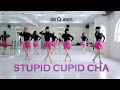Stupid Cupid Cha (Demo) Improver Level
