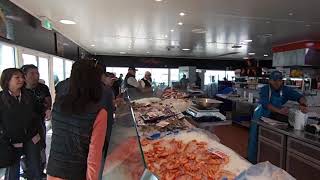 黃金海岸 鵜鶘餵食秀魚市場內