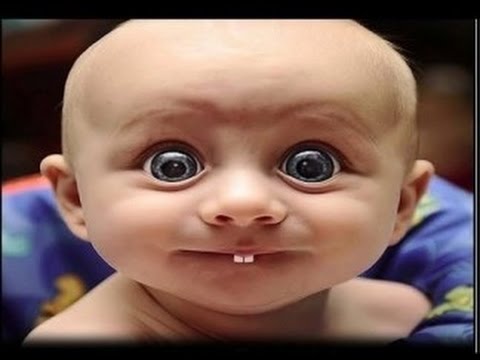 Videos Graciosos DE LOS BEBÉS TAMBIÉN APRENDEMOS - YouTube