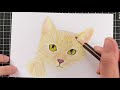 鉄筆＆色鉛筆を使ってのんびりひたすら猫の絵を描く動画 12