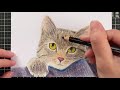 鉄筆＆色鉛筆を使ってのんびりひたすら猫の絵を描く動画 12