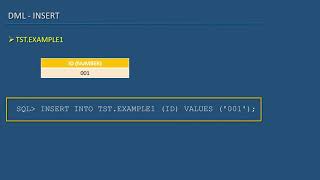 29 Oracle SQL Developer Tutorial For Beginners 28 DML INSERT