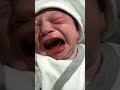 بيبي سند مقداد_طيور الجنه_عصومى ووليد_جنى مقداد