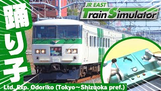 ツーハンドルマスコンで運転！ #185系 特急踊り子号 JR東日本トレインシミュレータ JR EAST Train Simulator