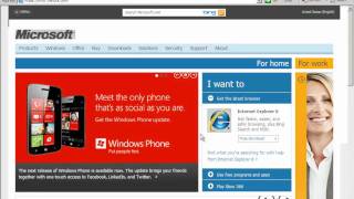 IE6 Bug