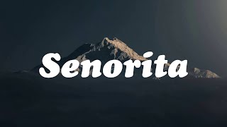 Señorita - Shawn Mendes (Lyrics) | Music Sky