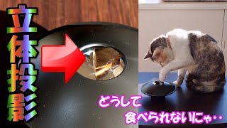 科学の力で猫に立体投影した幻のカエルとカツオを見せた結果がおもしろ過ぎたｗ