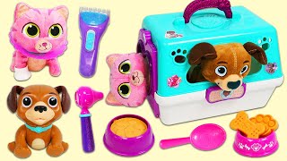 Doc McStuffins Findo and Whispers Visit the Pet Vet Toy Hospital Using On the Go Pet Carriers!
