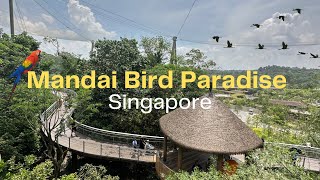 Day Out at Mandai Bird Paradise Singapore | Asia’s Largest Bird Park! | Weekend Vlog