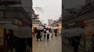 Sensoji Asakusa / 浅草浅草寺