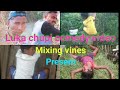 Luka chupi comedy video purulia #Mixing vines # Bangla