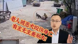 福建一老人当街被恶犬咬死！狗主人会坐牢吗？狗有主无主差别极大