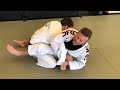 The First Five Submissions You Need To Know  Jiu-Jitsu Basics