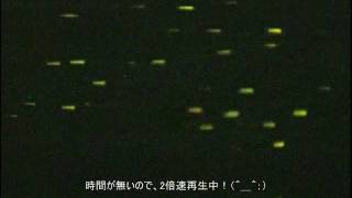 2012年 高知県宿毛市のホタル乱舞 05月27日－(2)　四万十川支流 中筋川