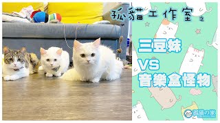 【孤貓工作室】之什麼也是貓玩具－三豆妹VS大戰音樂盒怪物