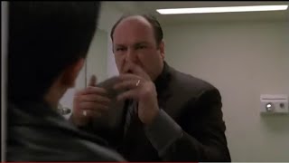 The Sopranos - Tony Soprano and his fighting career - Part 1