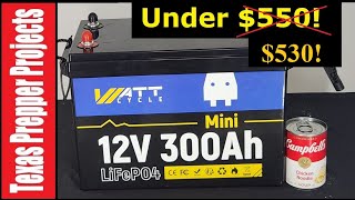 WattCycle 300 amp hour mini with low temp!  Under $530 | Texas Prepper Projects 50% more power!