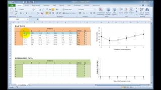 Normalising repeated data in Excel