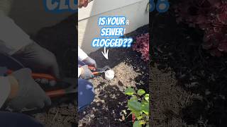 Signs You Have A Clogged Main Sewer Line - Toilet Not Flushing & Bath Tub Or Shower Backing Up