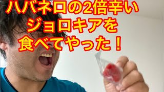 【激辛】ジョロキアを料理してみた！