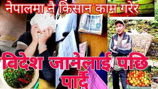 नेपालमै किसान काम गरेर विदेश जानेलाई पछि पार्दै#vlog #farmer #agriculturefarming #nature #trekking