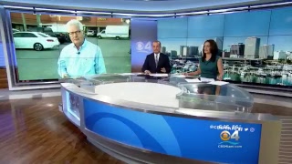 CBS Miami Live Stream