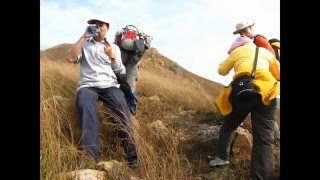 錦田天德宮登桂角山 10 01 2010