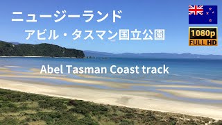 【 ニュージーランド旅行🇳🇿 】タカカ Abel Tasman Track, アビル・タスマン国立公園  ニュージーランド【HD】