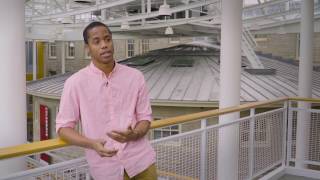 The Active Learning Initiative: Nnana Amakiri '17