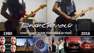 Gilmour's Comfortably Numb Live Tones over 36 years (1980-2016)