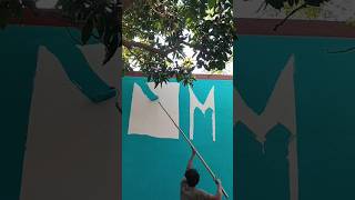 Green colour painting #outside #wallpainting #greencolour #youtybeshorts