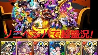 【パズドラ】1年ぶりじゃッハロウィンナイト（超盛況）にソニベジパで挑戦‼