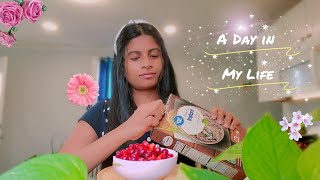 അമേരിക്കൻ സ്കൂളിലെ ഉച്ച ഭക്ഷണം എന്താണെന്നോ? | Breakfast to Dinner Vlog malayalam | Healthy recipes