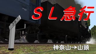 【Railsim】SL急行【半前面展望】