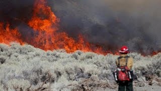 Thousands forced to evict following California wildfires